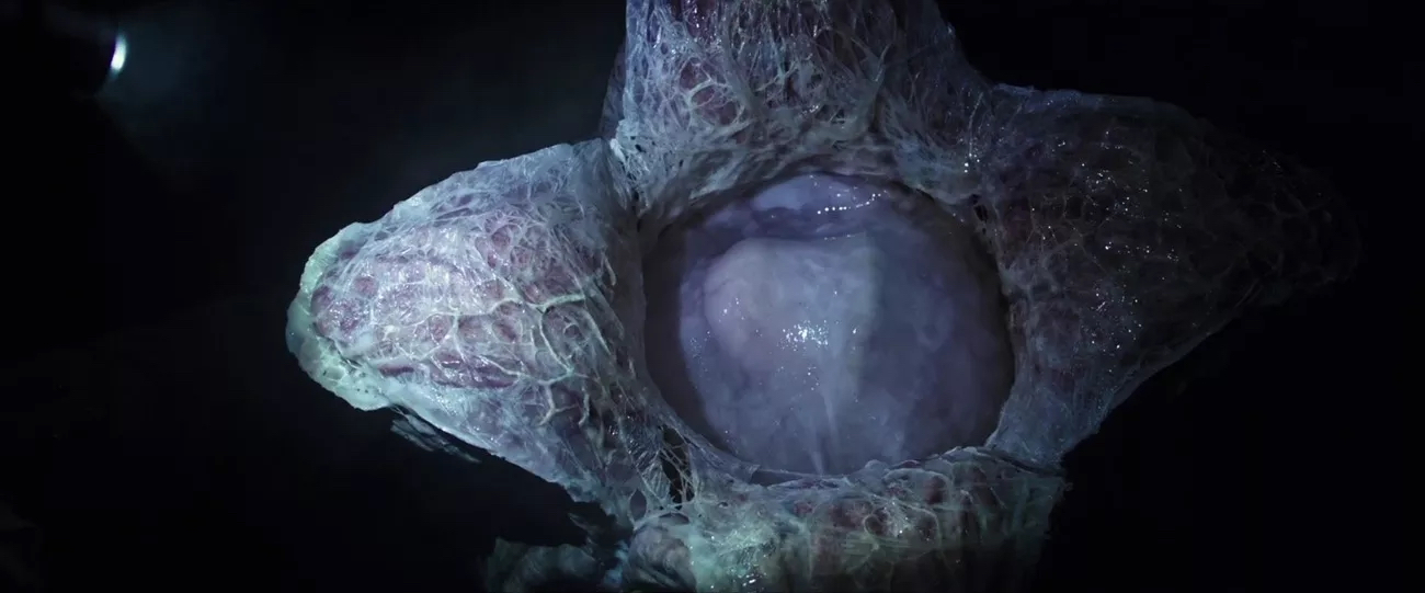 异形契约细思极恐解析,异形契约的异形和异形的差别