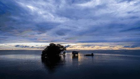 你们都说稻花香大米好吃，好在哪里？
