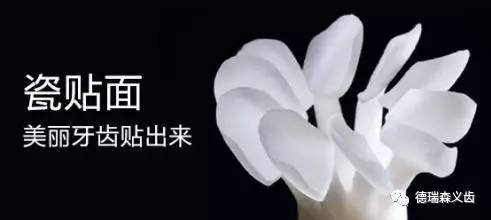 德瑞森义齿在哪,德瑞森义齿多少钱