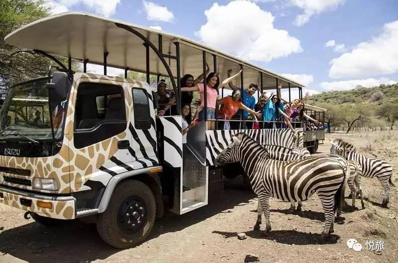 毛里求斯出境旅游攻略,刚去毛里求斯的人可以免签30天吗