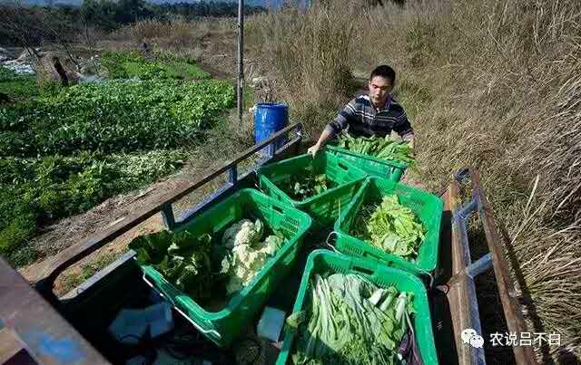 在农村集镇做什么能挣到钱,在乡村做什么小生意能挣钱