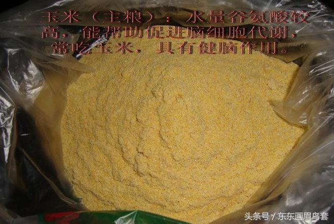 画眉鸟怎样才能大叫,画眉鸟的介绍简短又详细