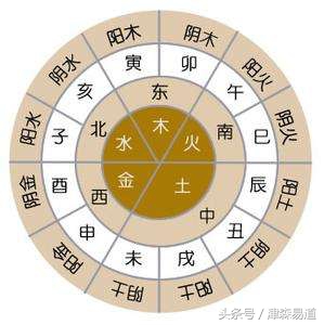 八字初学知识 (八字初级知识讲解)