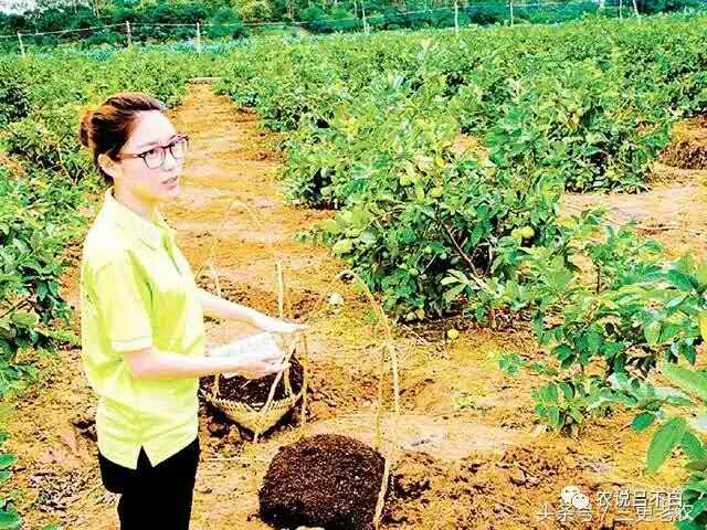 在农村做副业还是种地,在农村集镇做什么能挣到钱