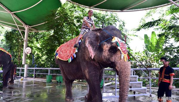 西双版纳在水一方泼水节,版纳哪里可以感受泼水