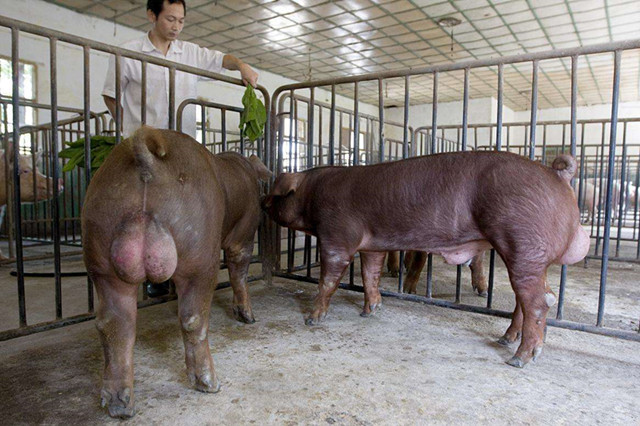 注意三个点怎么都不会刮蹭,注意这三点