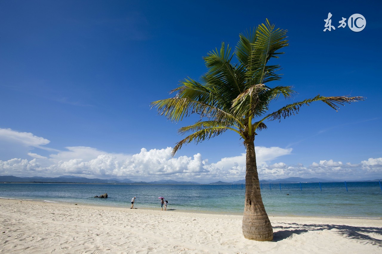 印象海南岛歌曲,印象海南岛完整版