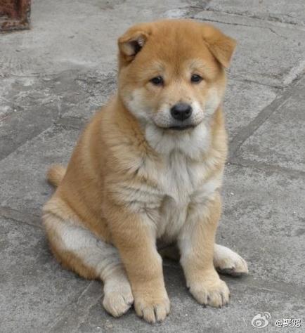 推荐几本悬疑推理小说,有哪些悬疑推理小说是值得一看的