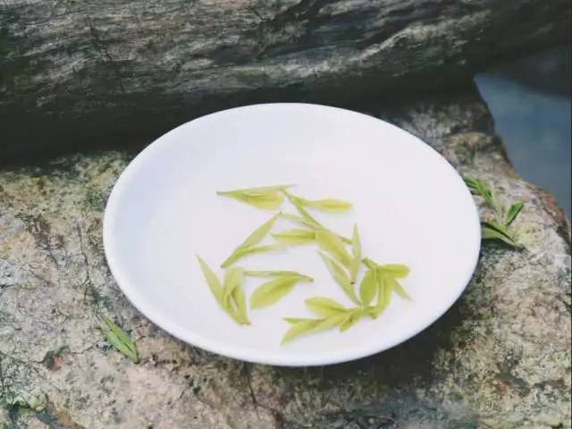 茶传媒采访视频,茶传媒深度访谈