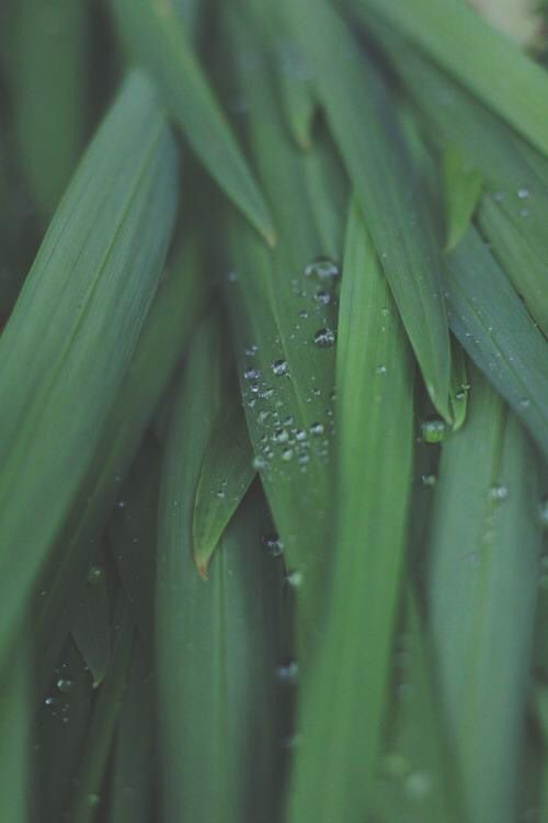 改变就在坚持的每一天,改变就在当下歌曲