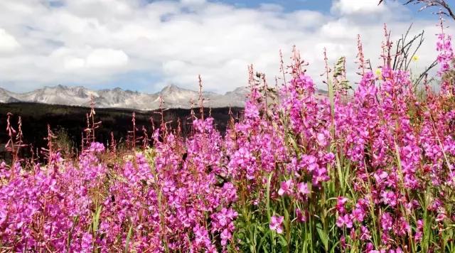 川西康定木格措,四川川西康定风景