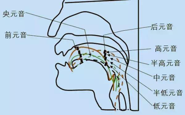 初中生为啥不教英语音标,学习英语音标的最好最快方法