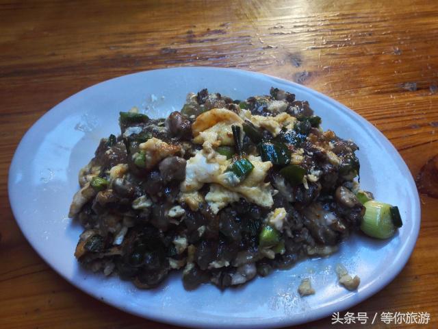 厦门五天四晚最佳攻略,5天4夜的厦门之旅