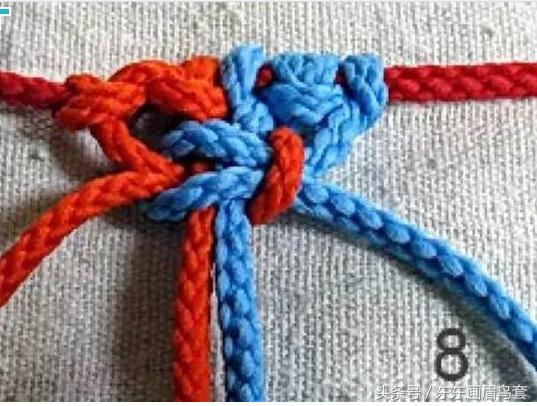 东东画眉鸟套之各种好看实用的绳套你了解吗？