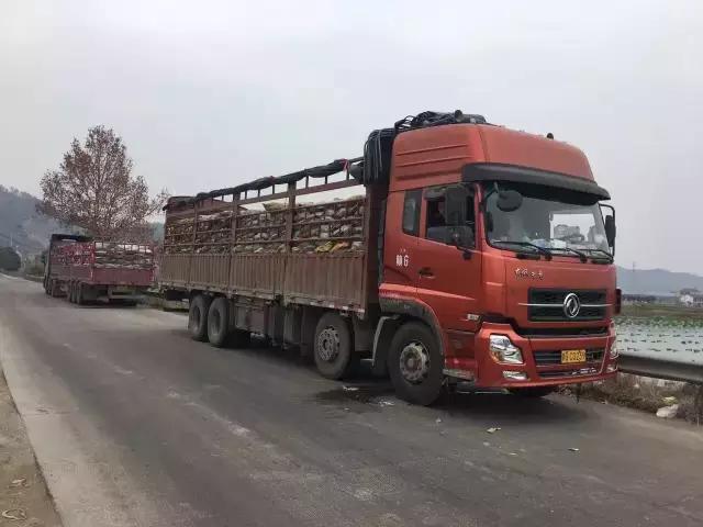 珠宝珍珠怎么选择,珍珠珠宝如何鉴别等级