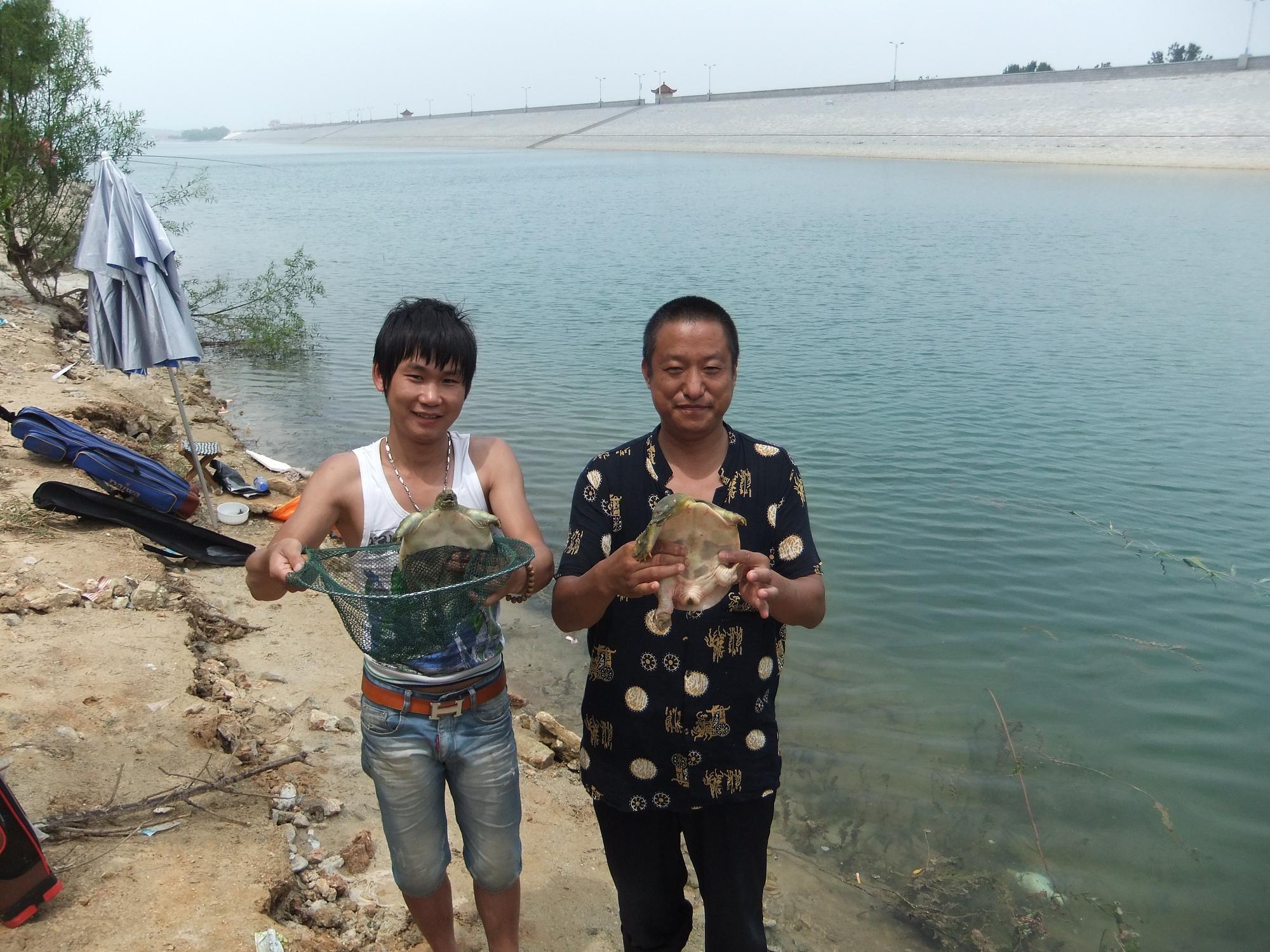 终于学会一门技术,终于学会了一项新技能