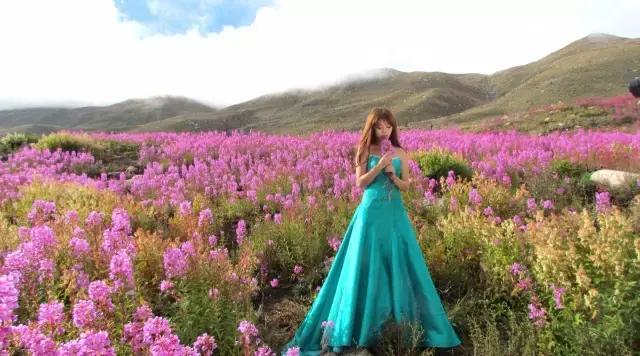 川西康定木格措,四川川西康定风景