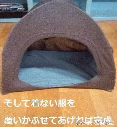 diy狗窝教程,diy狗窝教程室外水泥