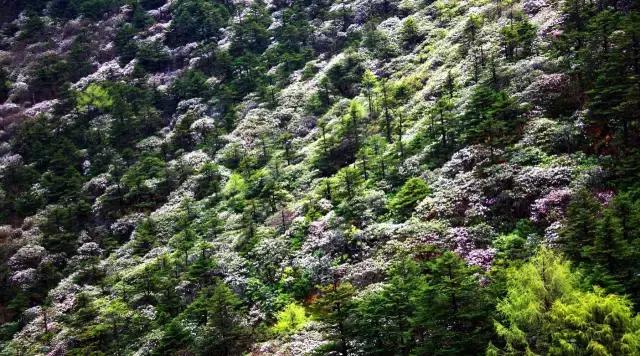 川西康定木格措,四川川西康定风景