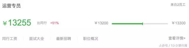 欢乐颂五美的经济阶层,欢乐颂五美是什么工作