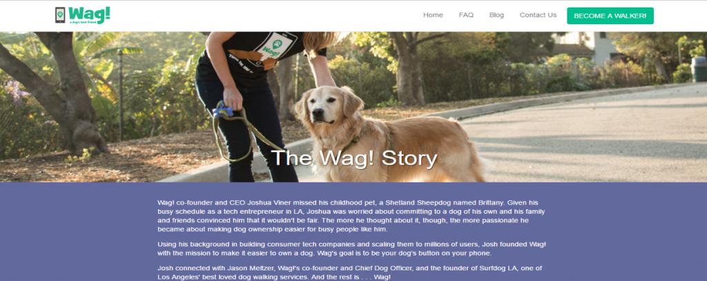 开会不能遛狗?出差在外狗狗怎么办?宠物界Uber与Airbnb帮您搞定爱宠所需!