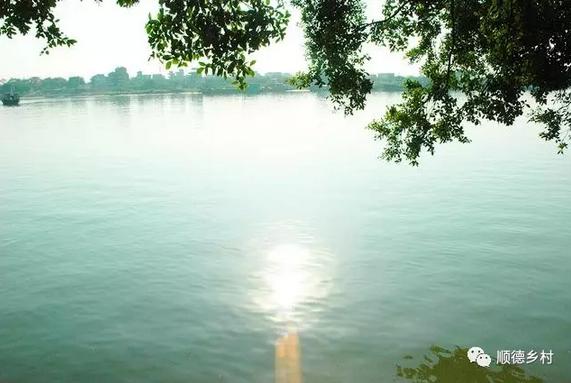 浮在海上的城市,漂浮在海面上的村