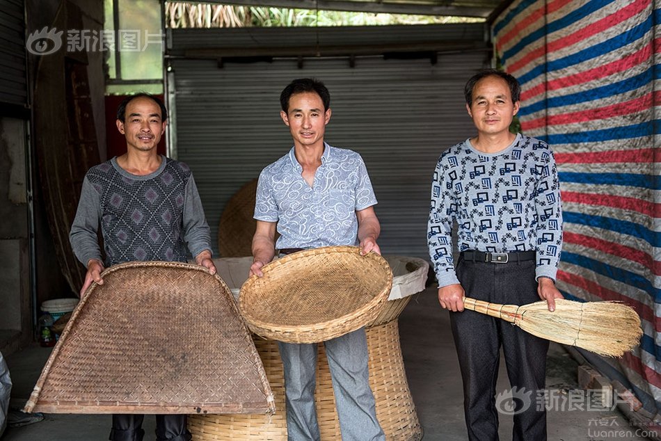 六安瓜片纯手工制作,新茶六安瓜片手工