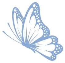 中医养生保健素养常识,中老年中医健康养生知识