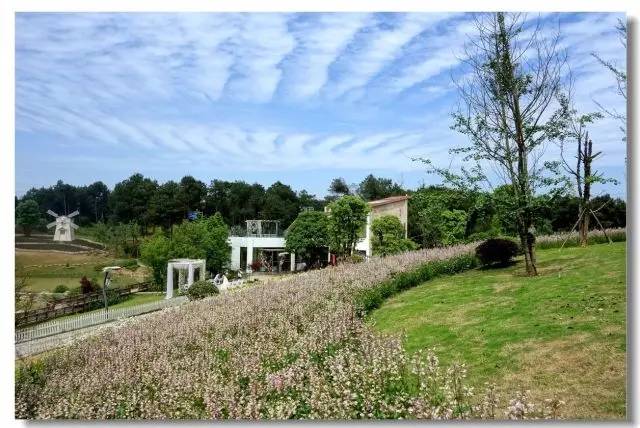 玩转大重庆超强攻略 (重庆各区最全玩耍攻略)