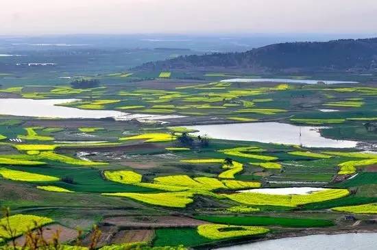 合青高铁滁州段,合青高铁明光进展情况