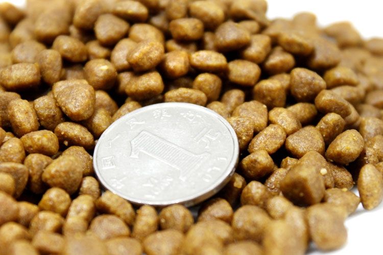 好的狗粮与普通狗粮的区别,膨化狗粮和天然狗粮有什么区别