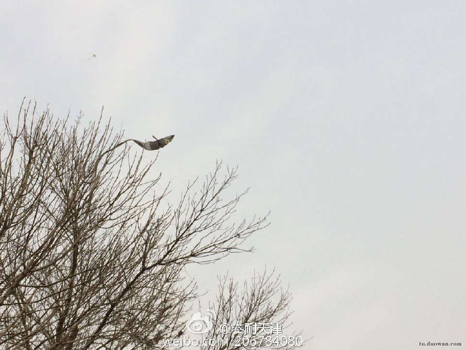 《每日一乐》2017港姐首轮面试开始颜值参差不齐颜值让人心情复杂