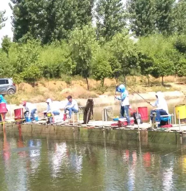 南阳古镇钓鱼比赛冠军,南阳行营钓具