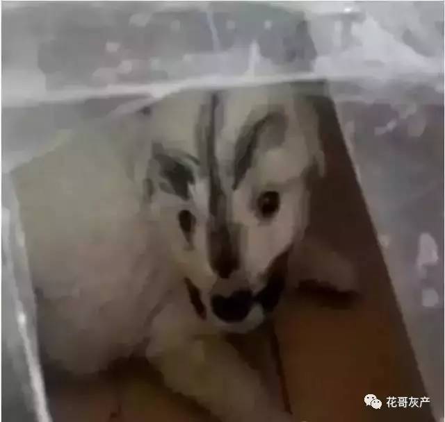 灰产如何规避打击,灰产处置