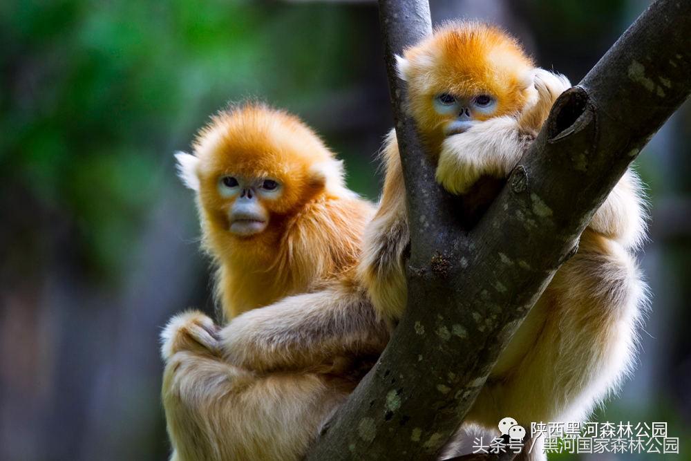 黑河风光,黑河自然风景