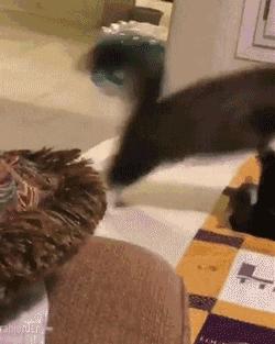 这才是尬舞的真正境界,见识一下真正的尬舞