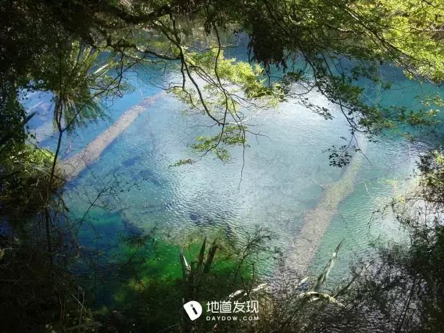 痛哭！即使今天抢不到新西兰打工旅行签证，也不能放弃新西兰啊！