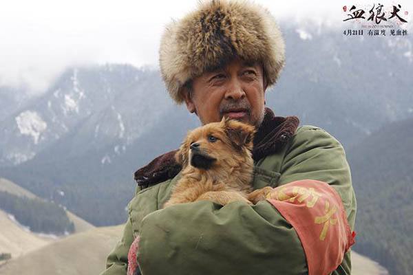 血狼犬战争片,血狼犬大战狼群电影