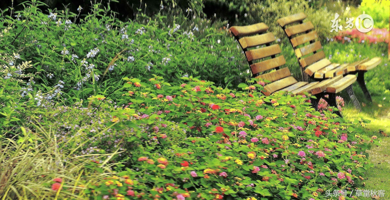 我心中的墨绿｜原创作文