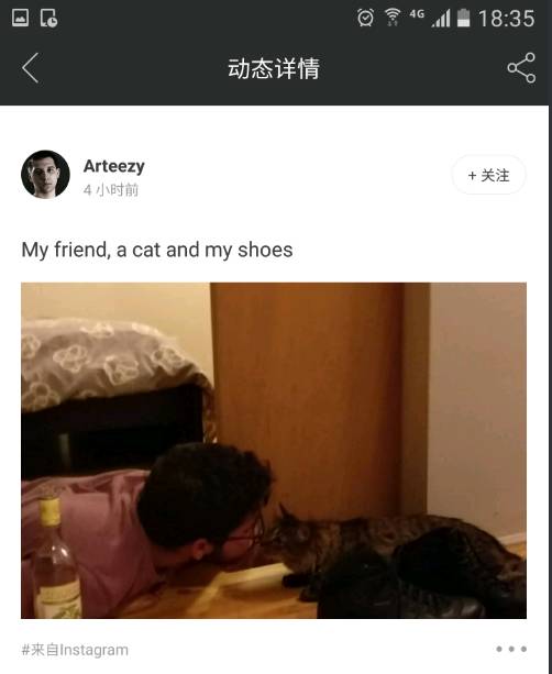 vp电竞阵容,vp电竞是啥