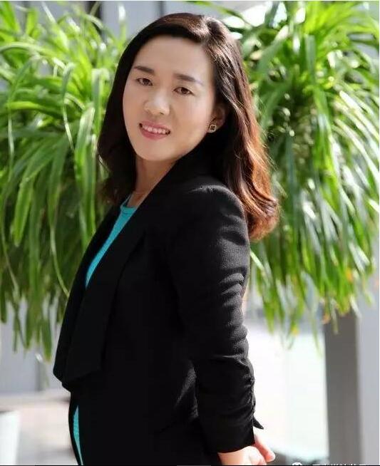 看律师如何应对违法催收,女律师如何应付渣男