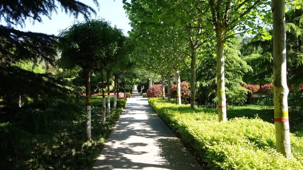 石家庄和平公园需要门票吗,石家庄和平公园几个门