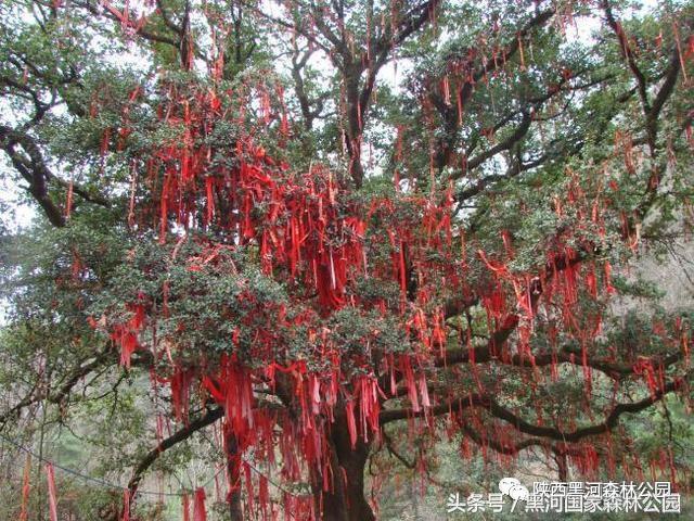 黑河风光,黑河自然风景
