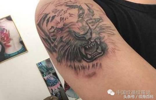 一万块钱可以纹什么纹身,纹身纹一个满背多少钱