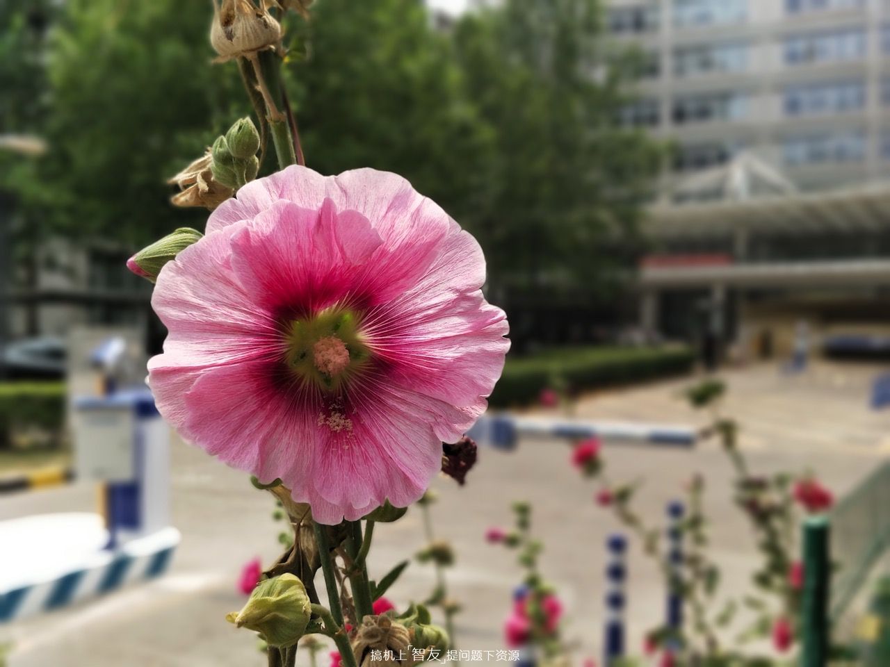 一加5评测,一加手机5评测科技美学