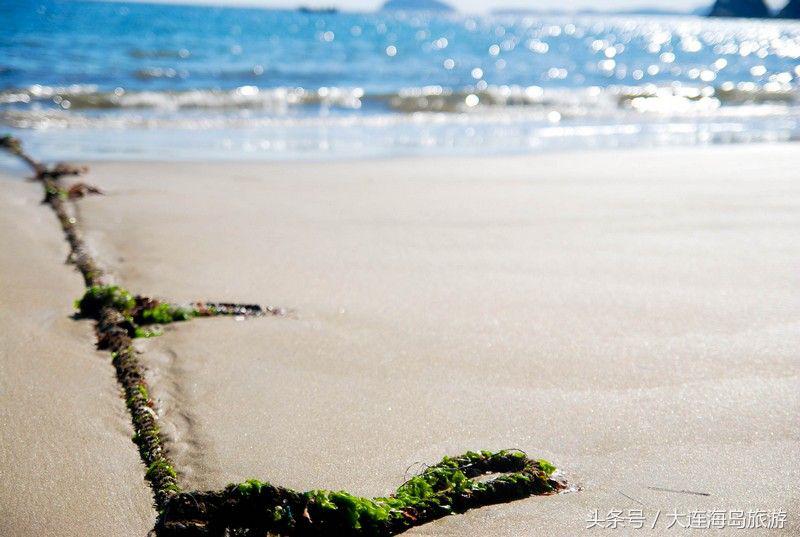 大连哈仙岛旅游多少钱,大连哈仙岛住宿推荐阳光渔村