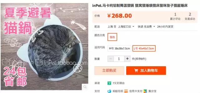 从让人捧腹的铝盆和鸡窝大抢购,看猫咪用品创业商机