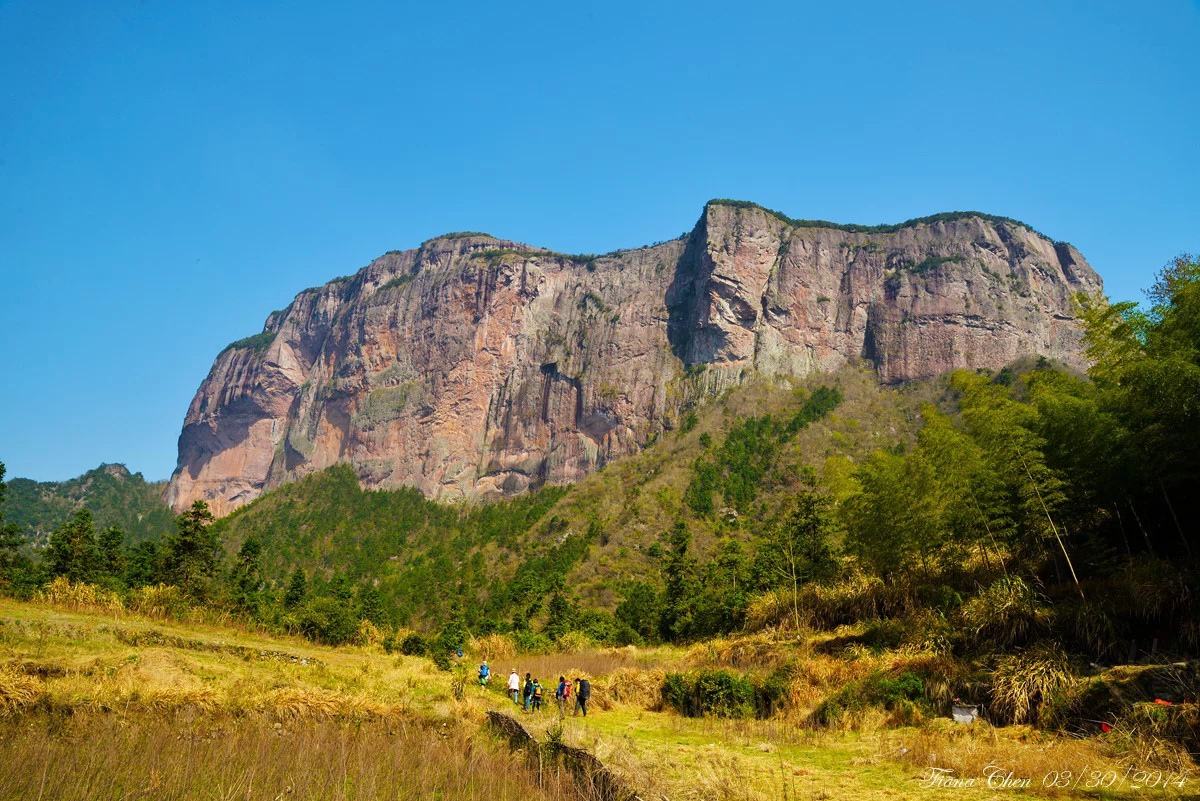 怎么把养蜂场做成产业链,不花钱建养蜂场的方法