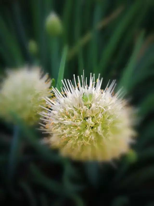 拍了那么多张，你这张照片与上一张有何不同？来看下这些评图就知道了！