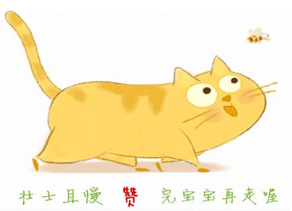你也养猫也养狗是什么体验,养猫是一种什么体验